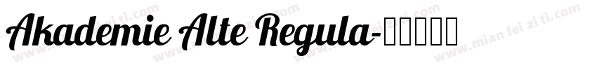 Akademie Alte Regula字体转换